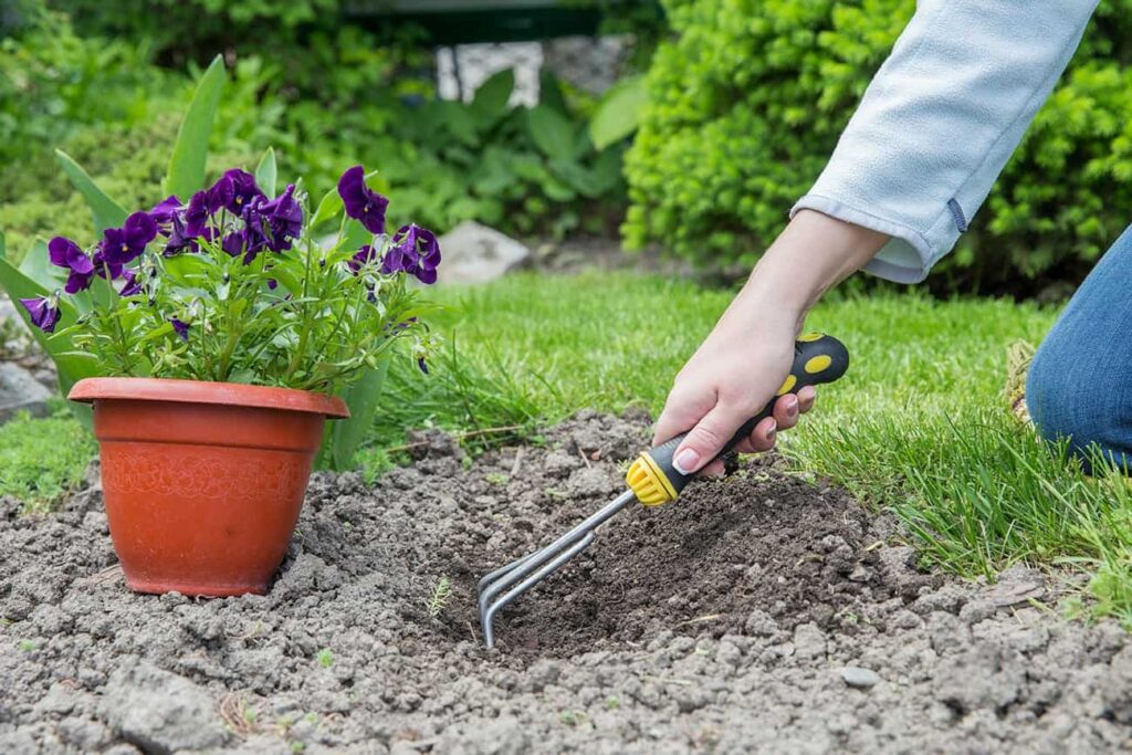 Services 3 pexels mariakray 9622164